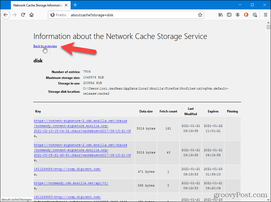 Disk cache information shown in Firefox