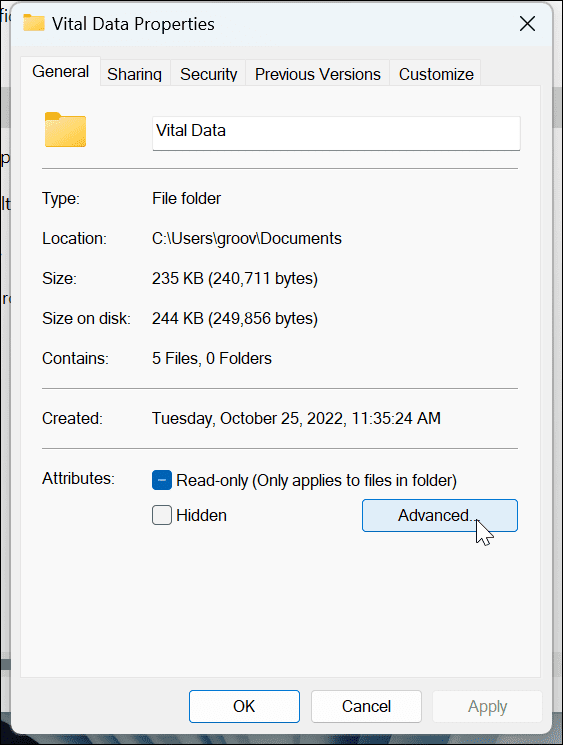 Encrypt Files and Folder on Windows 11