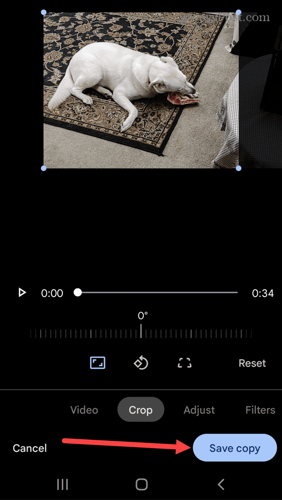 ave Copy Google Photos Cropped Video