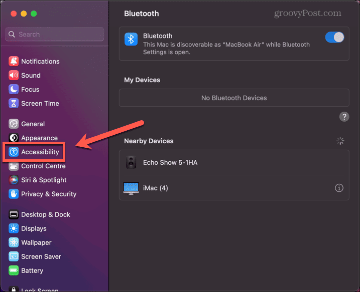 mac accessibility settings