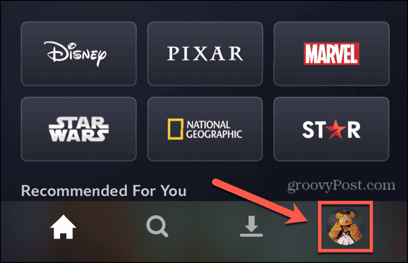 disney plus profile icon