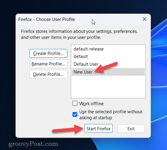Starting a new Firefox profile