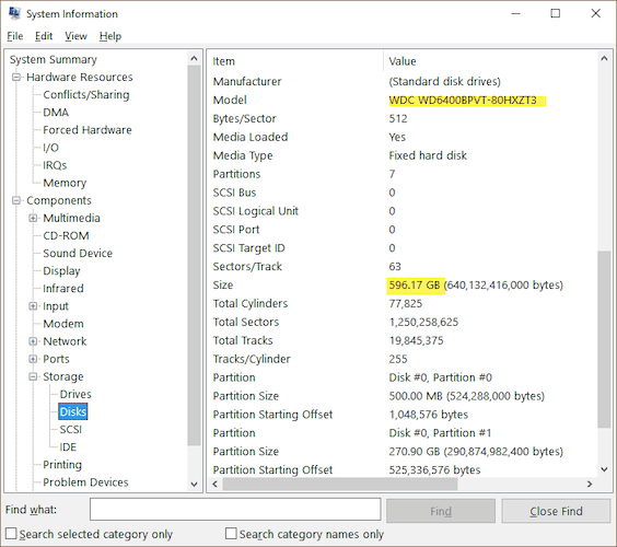 Disk info in System Information