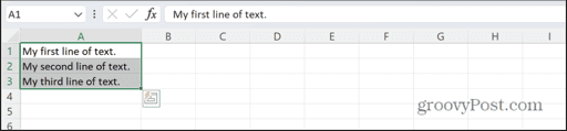 excel lines of text