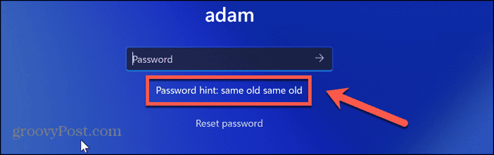 windows 11 password hint