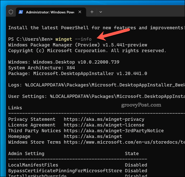 Winget info command